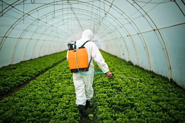 Best Commercial Pest Control Services  in St James City, FL