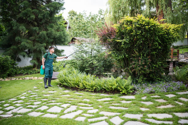 Best Affordable Pest Control Services  in St James City, FL
