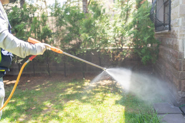Wasp Removal Services in St James City, FL