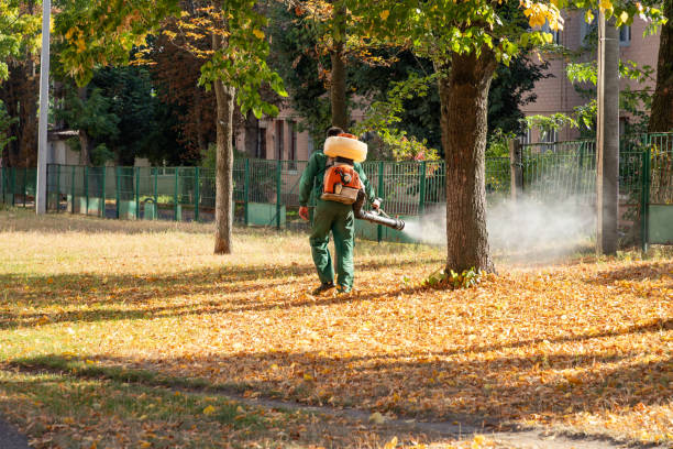 Best Pest Inspection Near Me  in St James City, FL